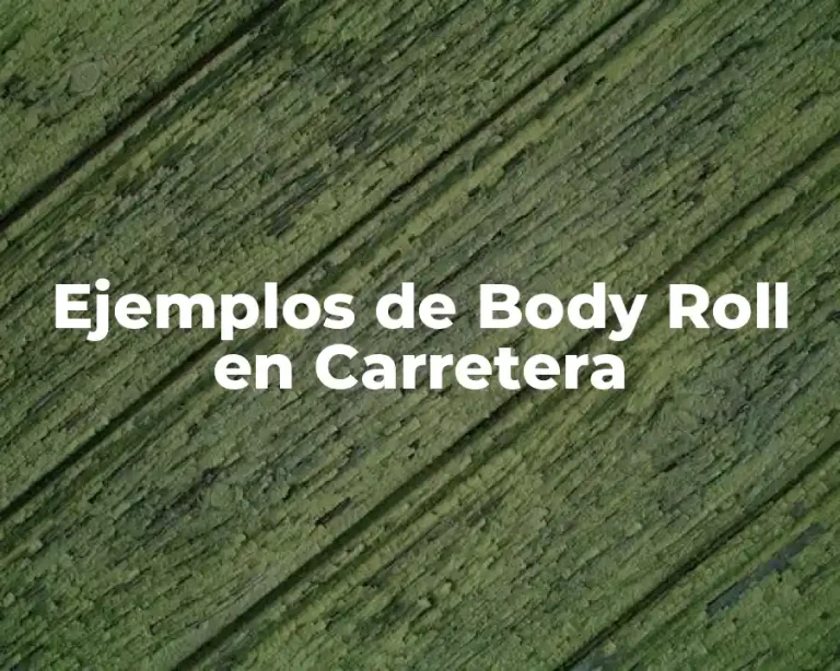 Ejemplos de Body Roll en Carretera