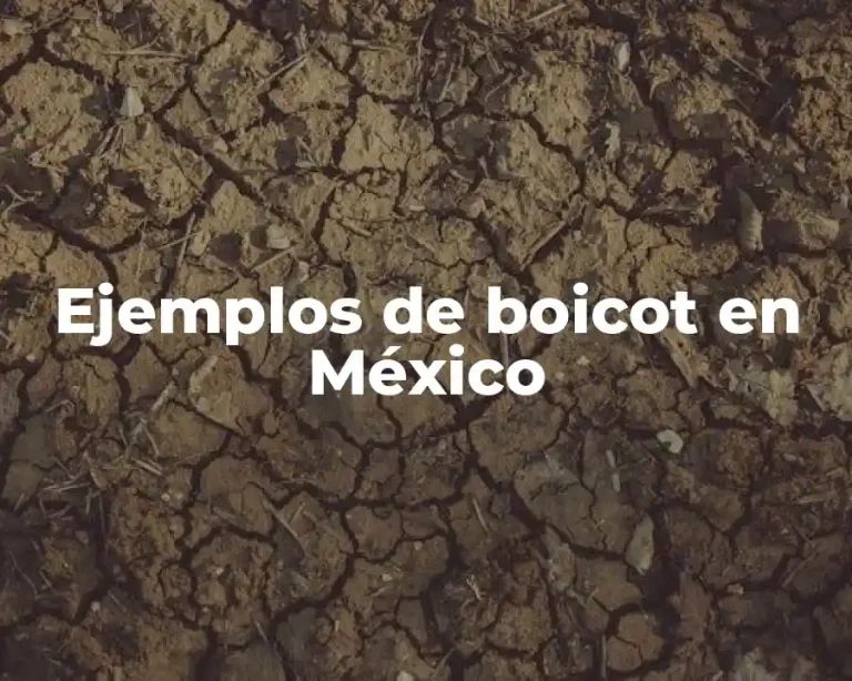 Ejemplos de boicot en México