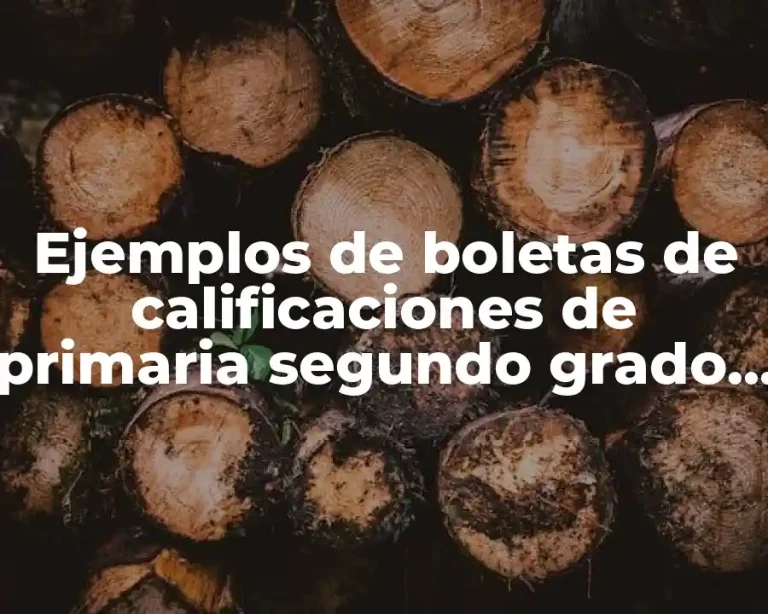 Ejemplos de boletas de calificaciones de primaria segundo grado llenas