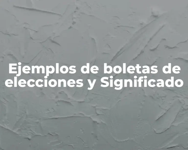 Ejemplos de boletas de elecciones y Significado