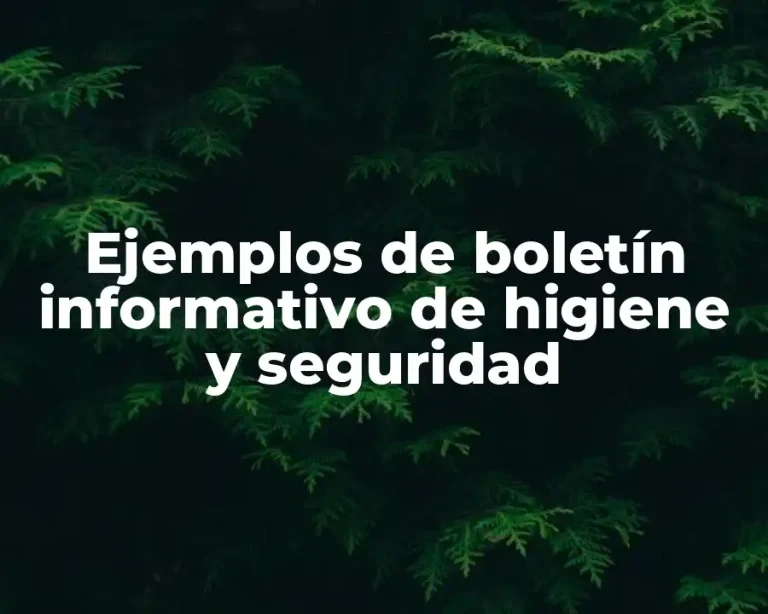 Ejemplos de boletín informativo de higiene y seguridad