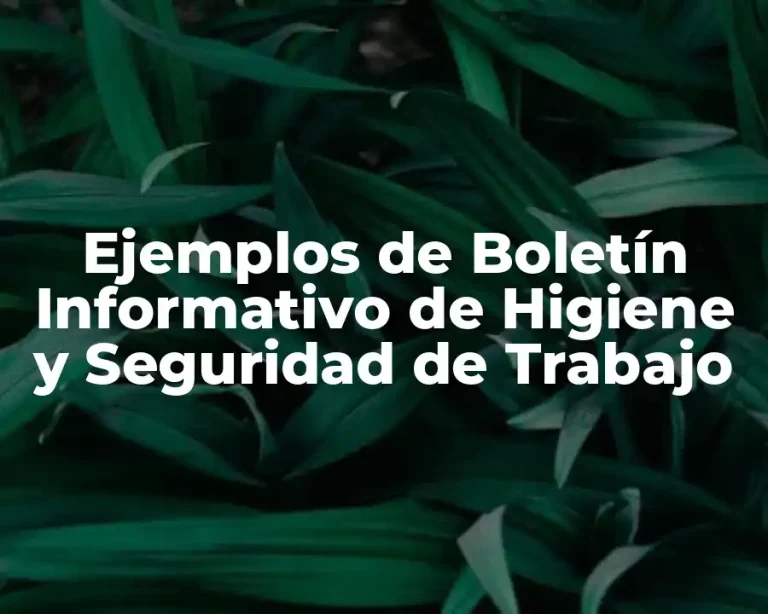 Ejemplos de Boletín Informativo de Higiene y Seguridad de Trabajo