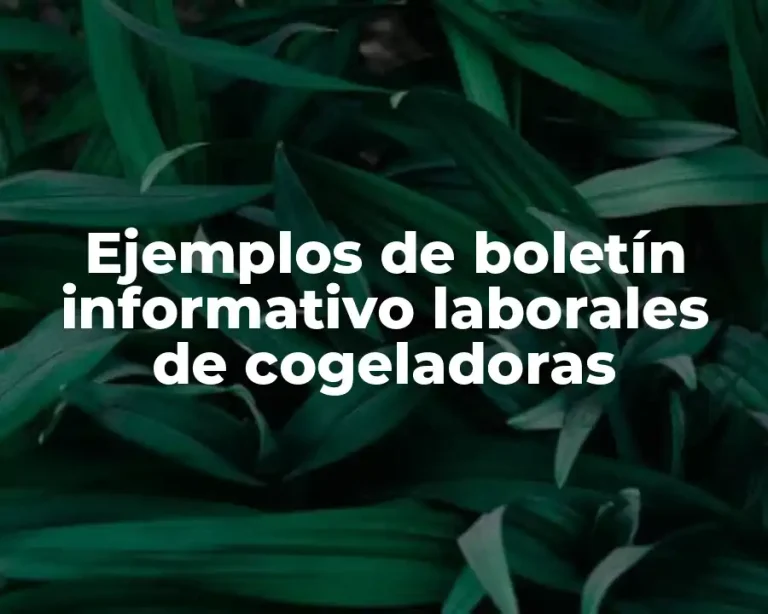 Ejemplos de boletín informativo laborales de cogeladoras