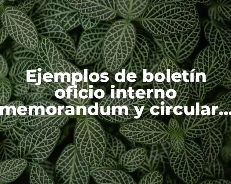 Ejemplos de boletín oficio interno memorandum y circular y Significado