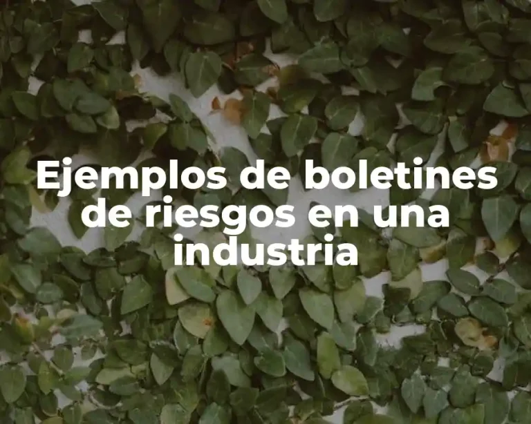 Ejemplos de boletines de riesgos en una industria
