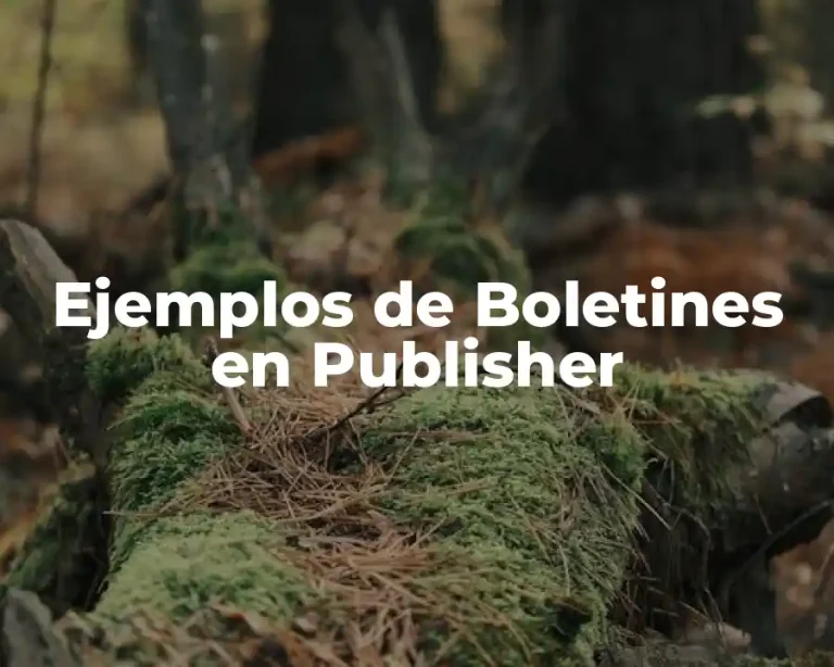 Ejemplos de Boletines en Publisher