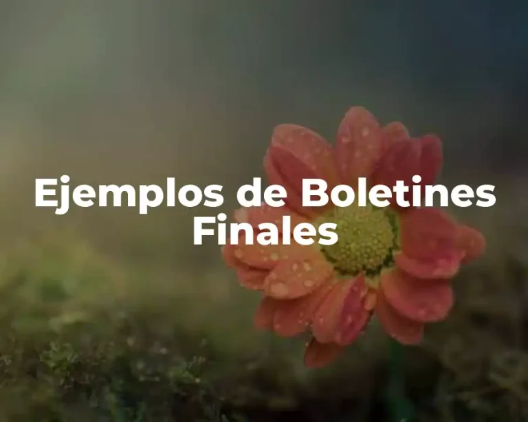 Ejemplos de Boletines Finales