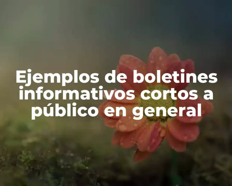 Ejemplos de boletines informativos cortos a público en general