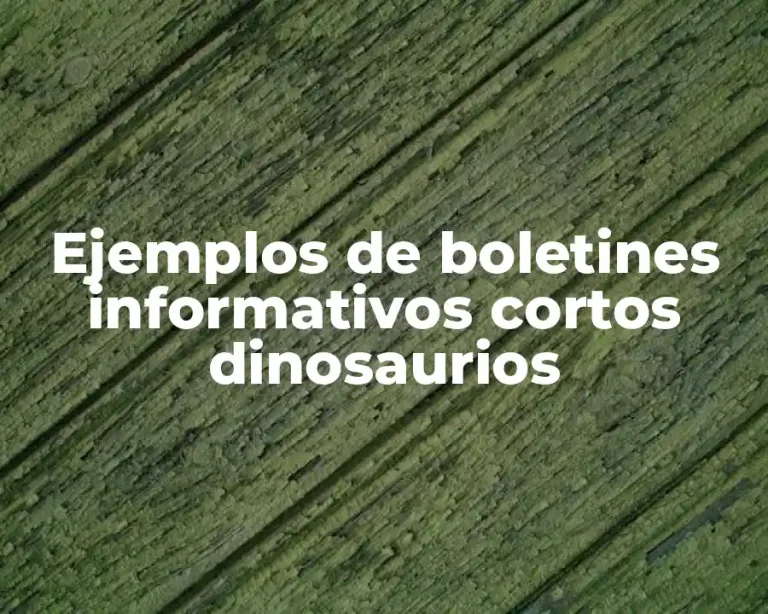 Ejemplos de boletines informativos cortos dinosaurios