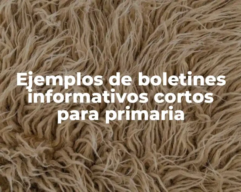 Ejemplos de boletines informativos cortos para primaria