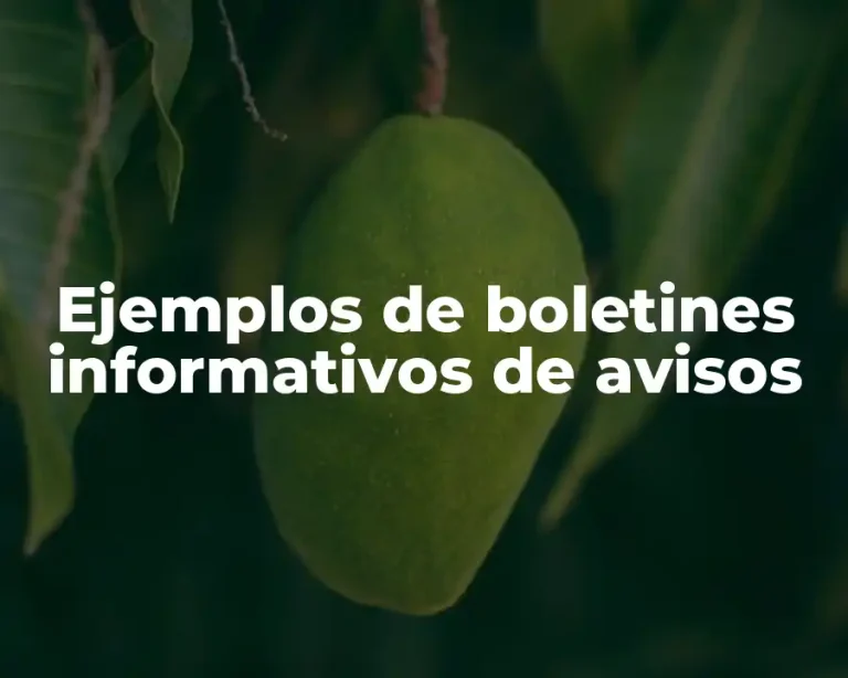 Ejemplos de boletines informativos de avisos