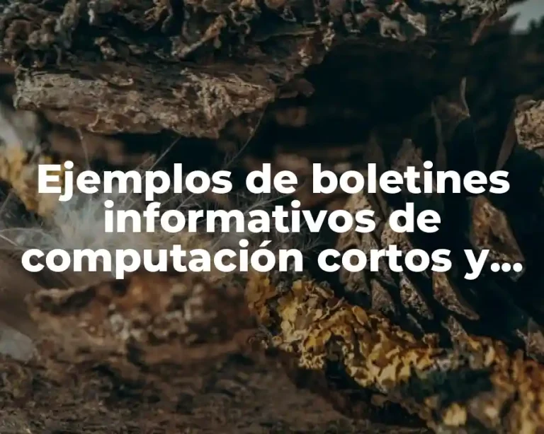 Ejemplos de boletines informativos de computación cortos y Significado