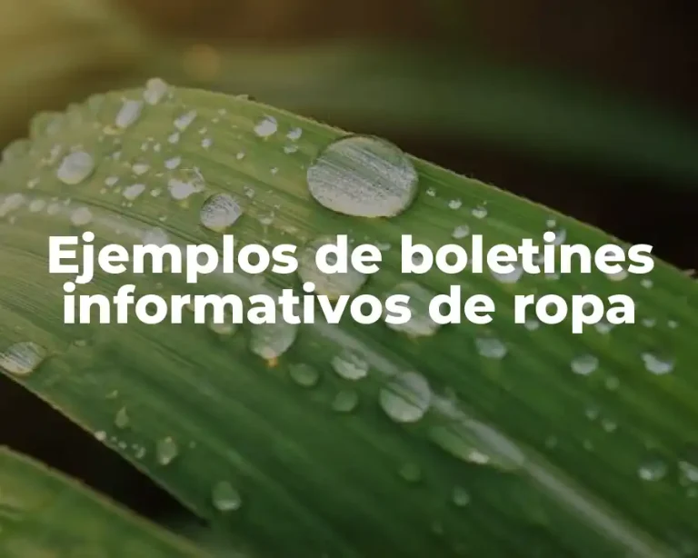 Ejemplos de boletines informativos de ropa