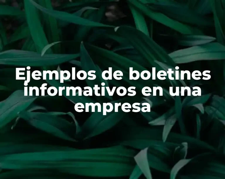 Ejemplos de boletines informativos en una empresa
