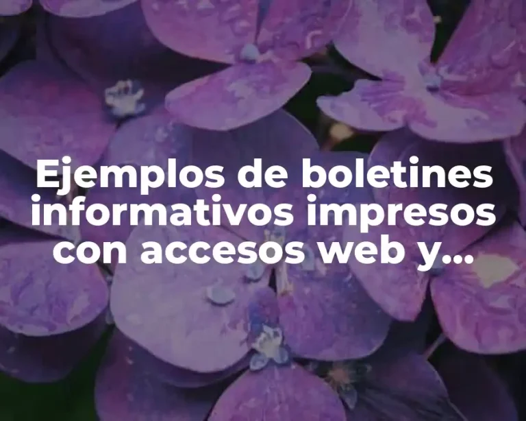 Ejemplos de boletines informativos impresos con accesos web y Significado
