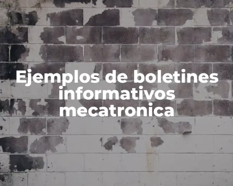 Ejemplos de boletines informativos mecatronica
