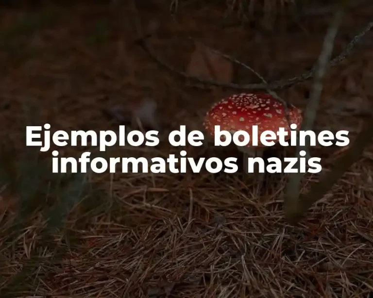 Ejemplos de boletines informativos nazis
