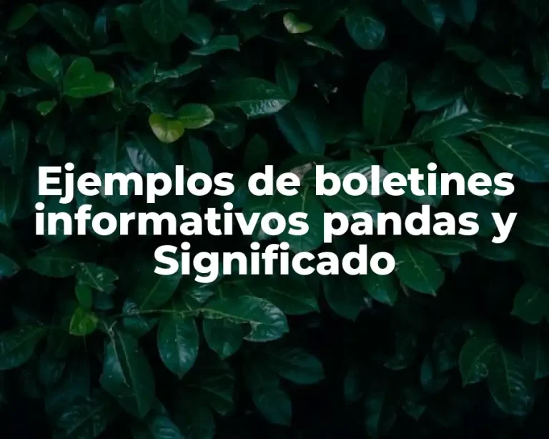 Ejemplos de boletines informativos pandas y Significado