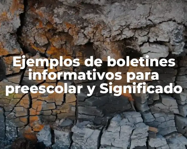 Ejemplos de boletines informativos para preescolar y Significado