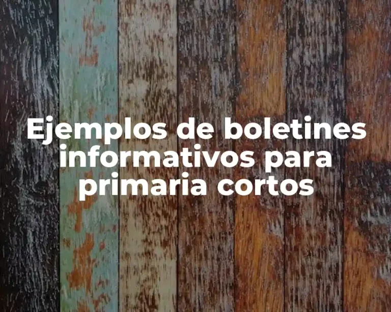 Ejemplos de boletines informativos para primaria cortos