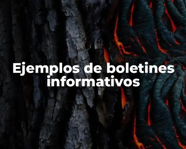 Ejemplos de boletines informativos