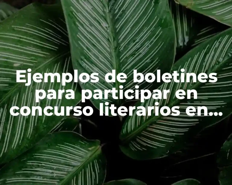 Ejemplos de boletines para participar en concurso literarios en escuela