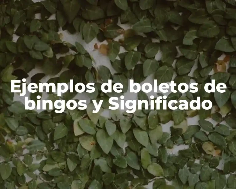 Ejemplos de boletos de bingos y Significado