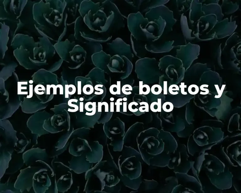Ejemplos de boletos y Significado