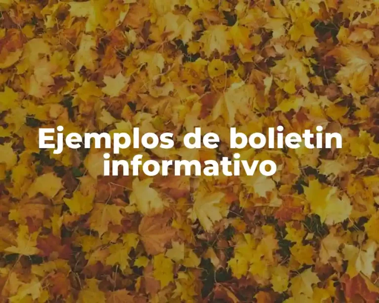 Ejemplos de bolietin informativo