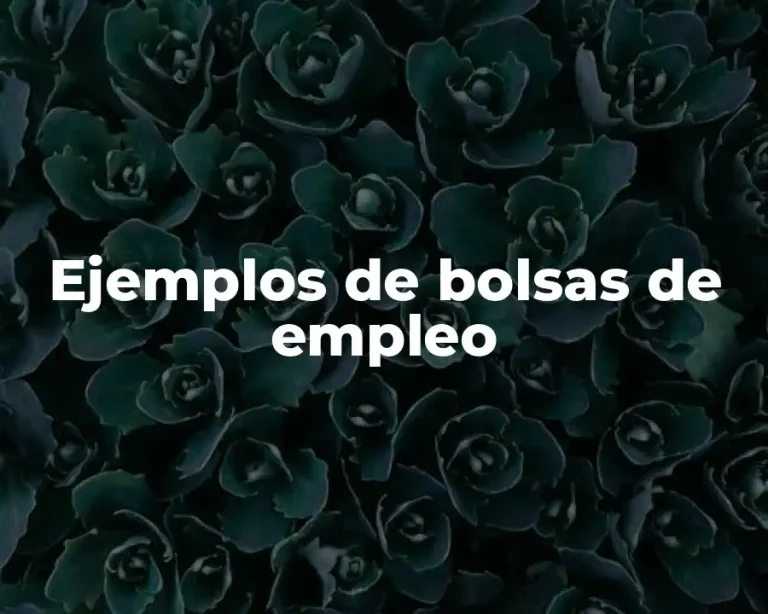 Ejemplos de bolsas de empleo
