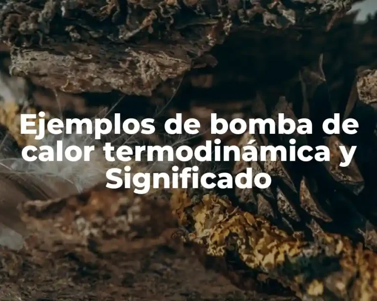 Ejemplos de bomba de calor termodinámica y Significado