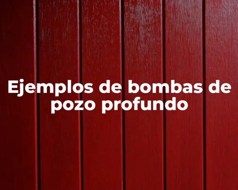 Ejemplos de bombas de pozo profundo