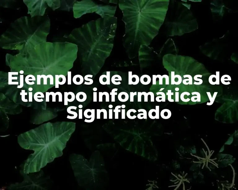 Ejemplos de bombas de tiempo informática y Significado
