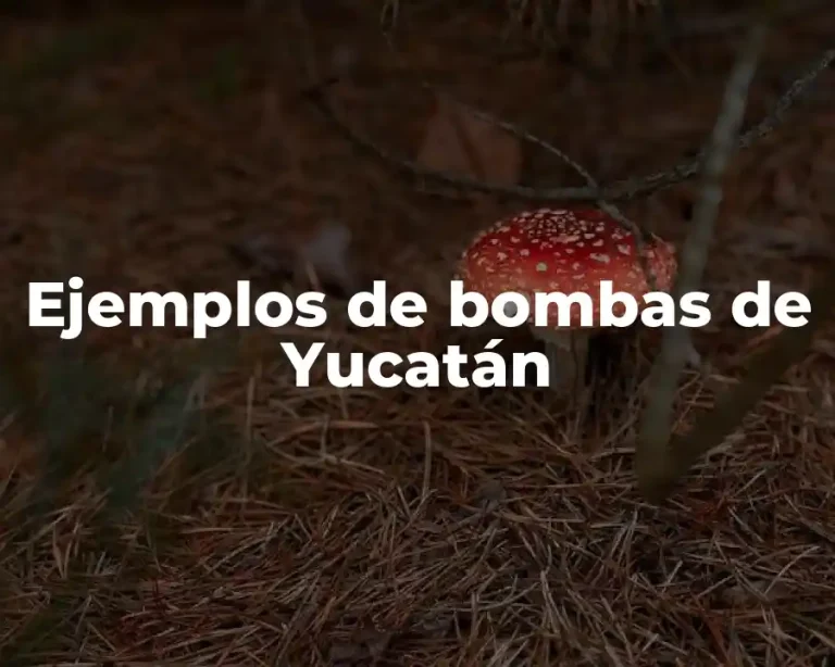 Ejemplos de bombas de Yucatán
