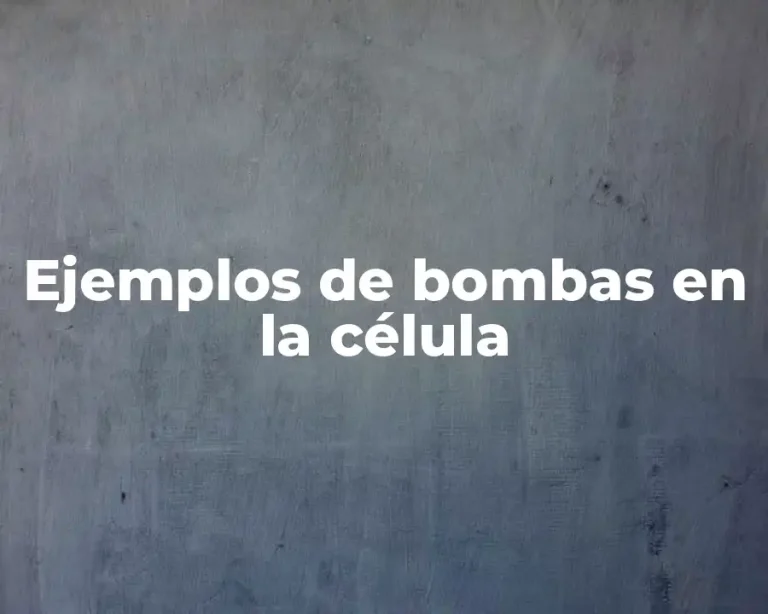 Ejemplos de bombas en la célula