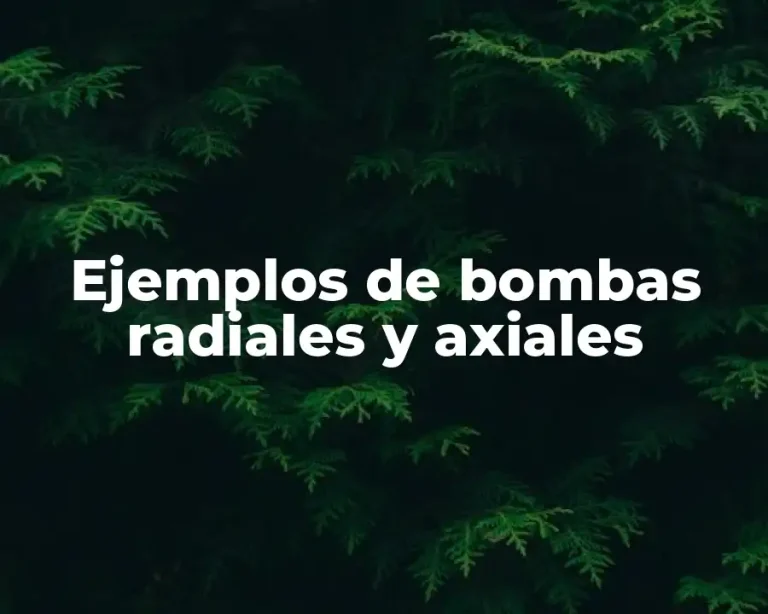 Ejemplos de bombas radiales y axiales