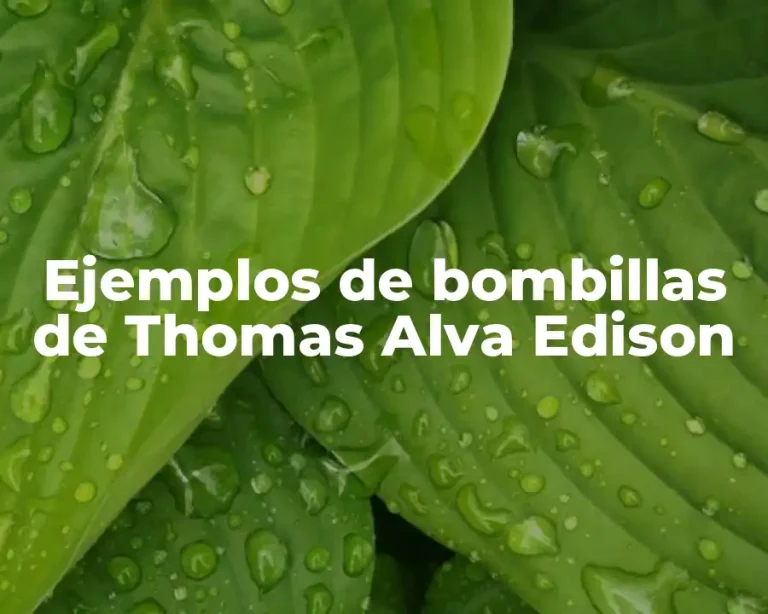 Ejemplos de bombillas de Thomas Alva Edison