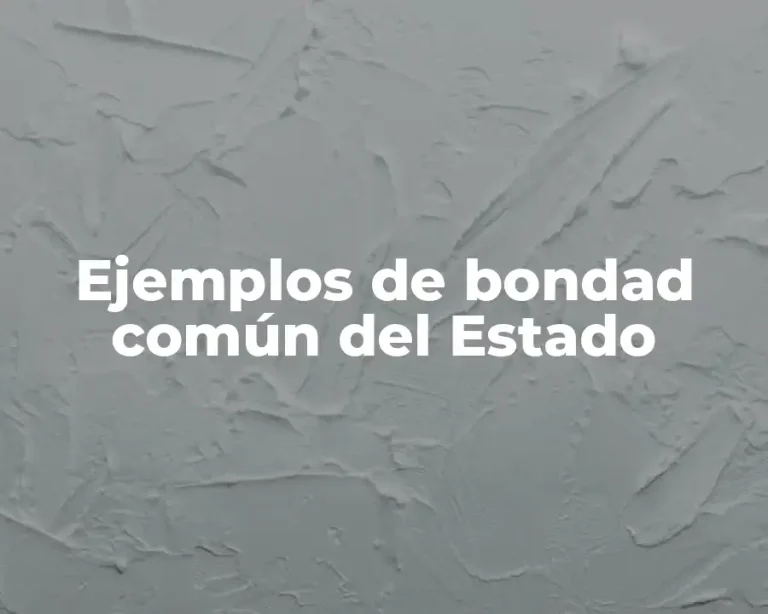 Ejemplos de bondad común del Estado