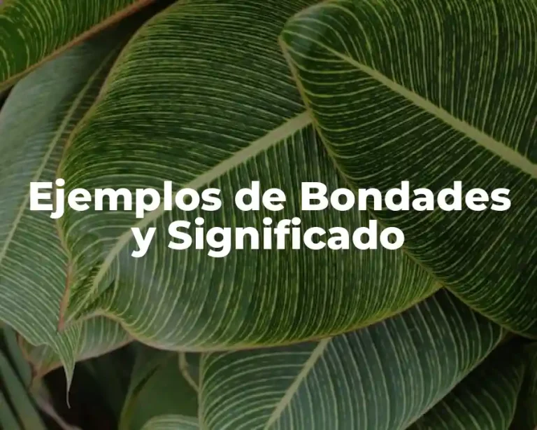 Ejemplos de Bondades y Significado