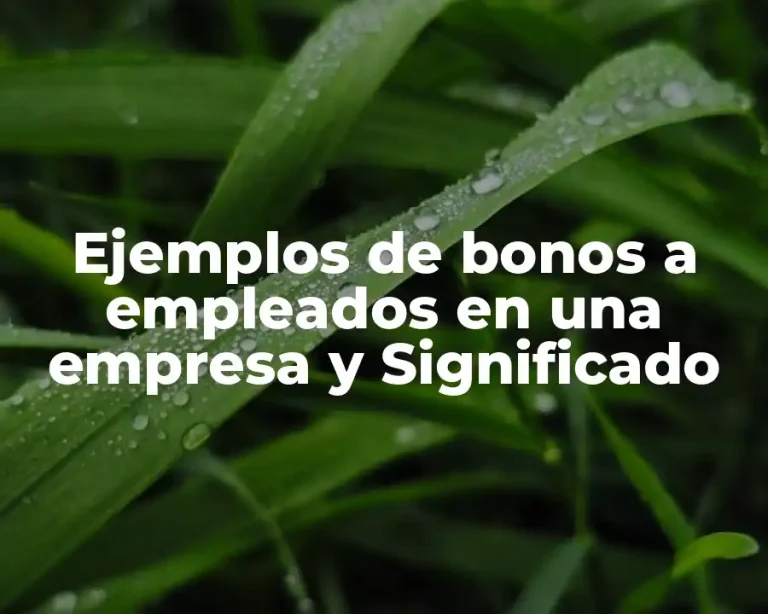Ejemplos de bonos a empleados en una empresa y Significado