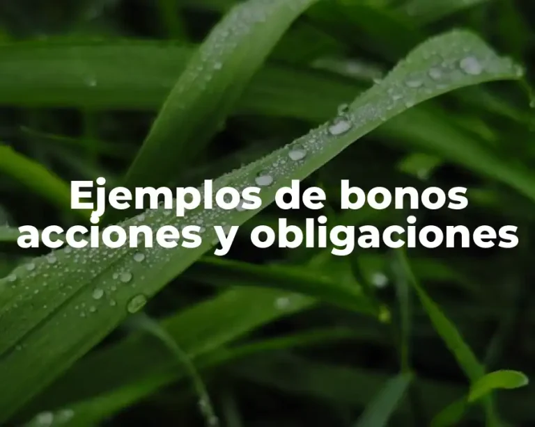 Ejemplos de bonos acciones y obligaciones