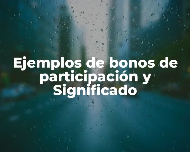 Ejemplos de bonos de participación y Significado
