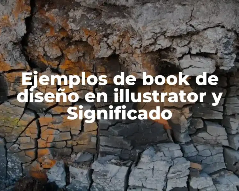Ejemplos de book de diseño en illustrator y Significado