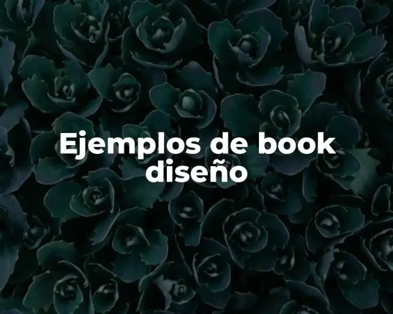 Ejemplos de book diseño