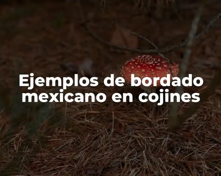 Ejemplos de bordado mexicano en cojines