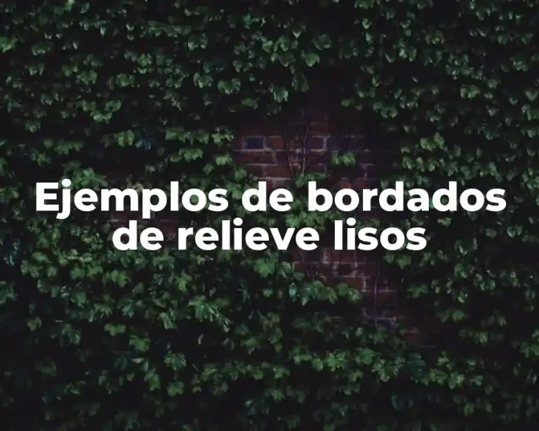 Ejemplos de bordados de relieve lisos