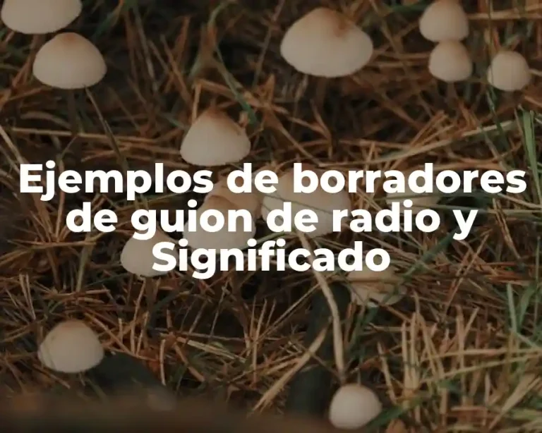 Ejemplos de borradores de guion de radio y Significado