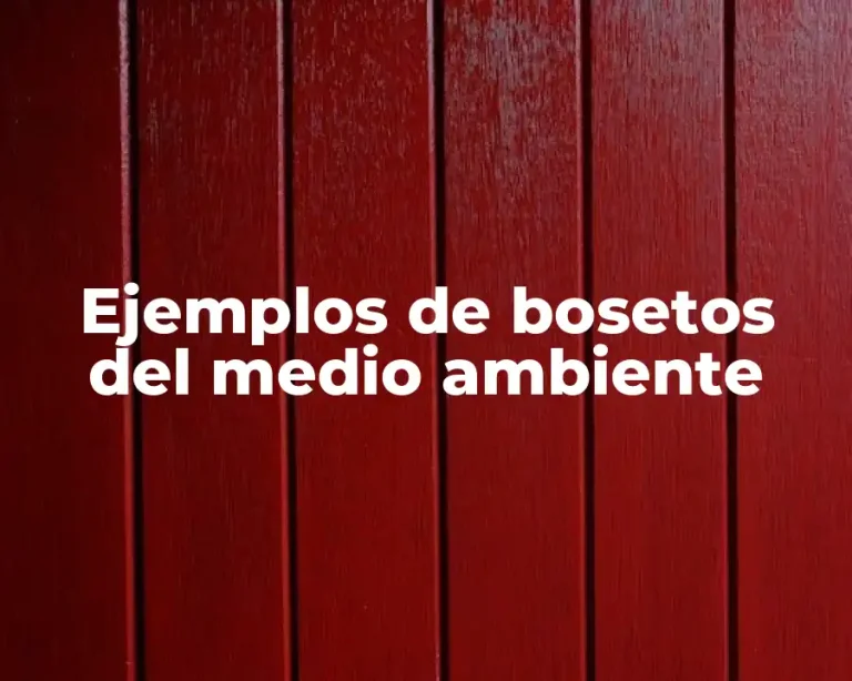 Ejemplos de bosetos del medio ambiente