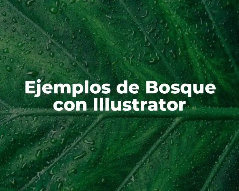 Ejemplos de Bosque con Illustrator