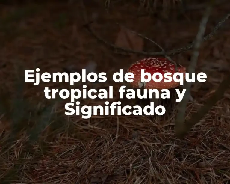 Ejemplos de bosque tropical fauna y Significado